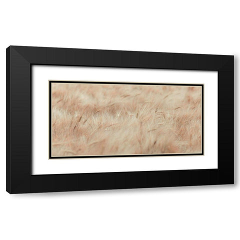 Wheat field Black Modern Wood Framed Art Print with Double Matting by Frank, Assaf