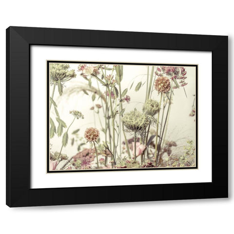 Meadow Flowers Black Modern Wood Framed Art Print with Double Matting by Frank, Assaf