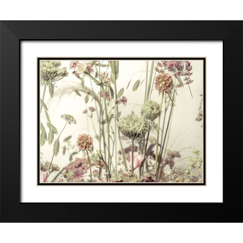Meadow Flowers Black Modern Wood Framed Art Print with Double Matting by Frank, Assaf