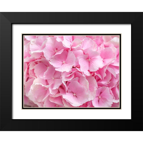 Hydrangea flower bouquet Black Modern Wood Framed Art Print with Double Matting by Frank, Assaf