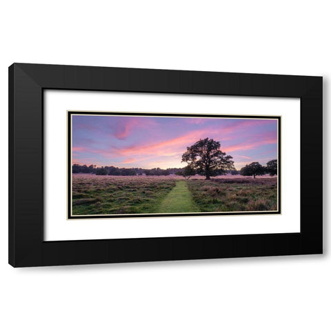Pathway through meadow Black Modern Wood Framed Art Print with Double Matting by Frank, Assaf