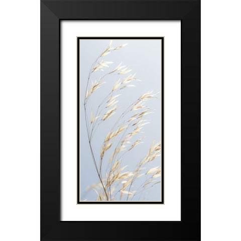 Panicle ripe Oats Black Modern Wood Framed Art Print with Double Matting by Frank, Assaf