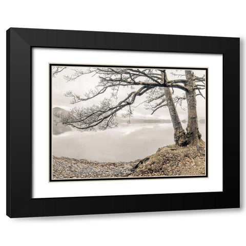 Tree by the Lake Black Modern Wood Framed Art Print with Double Matting by Frank, Assaf