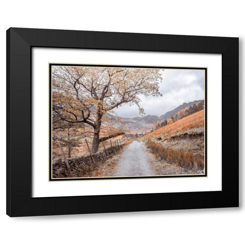 Countryside dirt road Black Modern Wood Framed Art Print with Double Matting by Frank, Assaf