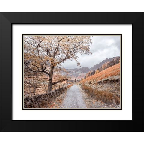 Countryside dirt road Black Modern Wood Framed Art Print with Double Matting by Frank, Assaf