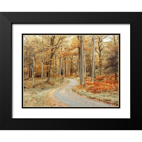 Road through forest Black Modern Wood Framed Art Print with Double Matting by Frank, Assaf