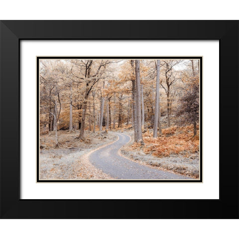 Forest path-Lake District Black Modern Wood Framed Art Print with Double Matting by Frank, Assaf