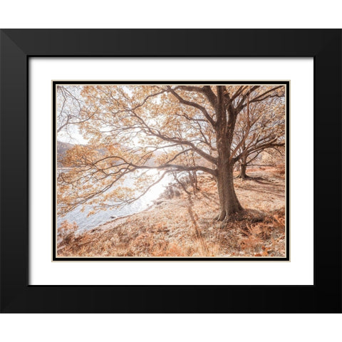 Derwentwater-Lake district Black Modern Wood Framed Art Print with Double Matting by Frank, Assaf