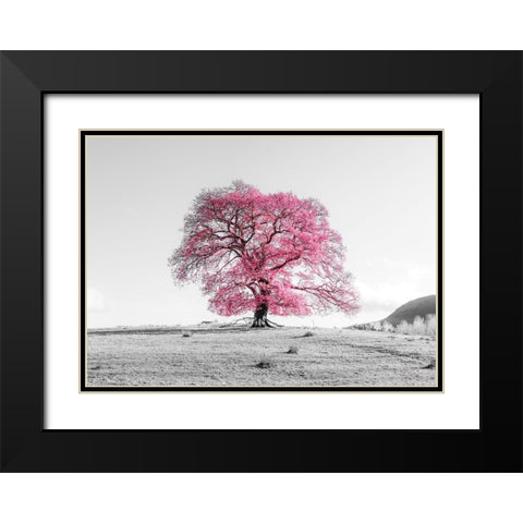 Tree on a hill Black Modern Wood Framed Art Print with Double Matting by Frank, Assaf