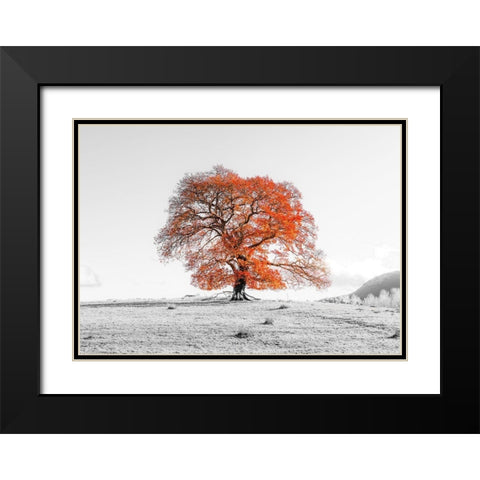 Tree on a hill Black Modern Wood Framed Art Print with Double Matting by Frank, Assaf