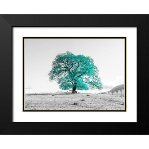 Tree on a hill Black Modern Wood Framed Art Print with Double Matting by Frank, Assaf
