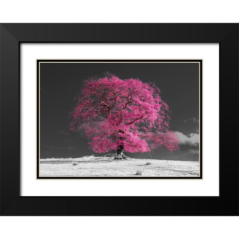 Tree on a hill-pink Black Modern Wood Framed Art Print with Double Matting by Frank, Assaf