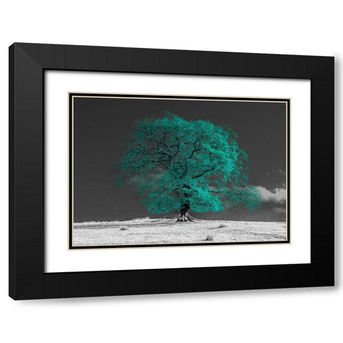 Tree on a hill-teal Black Modern Wood Framed Art Print with Double Matting by Frank, Assaf