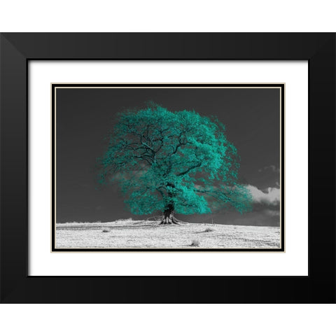 Tree on a hill-teal Black Modern Wood Framed Art Print with Double Matting by Frank, Assaf