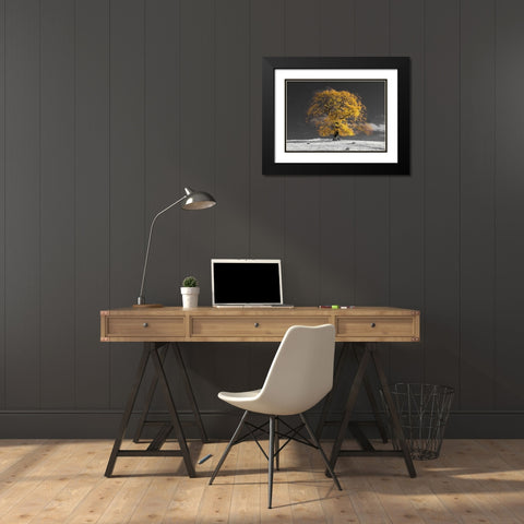 Tree on a hill-yellow-gold Black Modern Wood Framed Art Print with Double Matting by Frank, Assaf