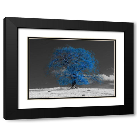 Tree on a hill-blue Black Modern Wood Framed Art Print with Double Matting by Frank, Assaf