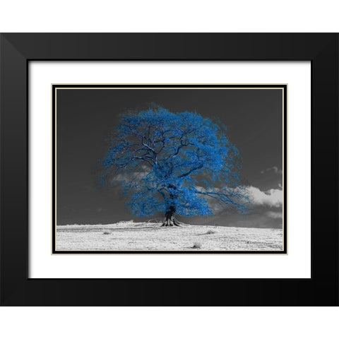 Tree on a hill-blue Black Modern Wood Framed Art Print with Double Matting by Frank, Assaf
