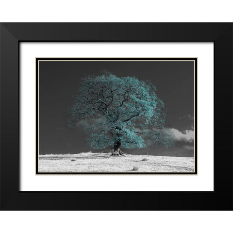 Tree on a hill-teal Black Modern Wood Framed Art Print with Double Matting by Frank, Assaf