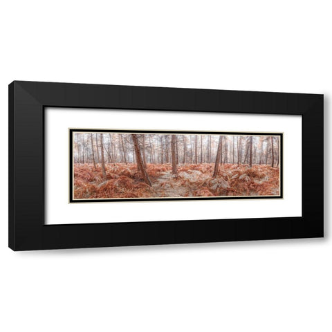 Autumn forest Black Modern Wood Framed Art Print with Double Matting by Frank, Assaf