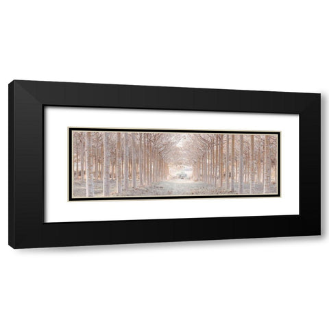 Winter forest Black Modern Wood Framed Art Print with Double Matting by Frank, Assaf