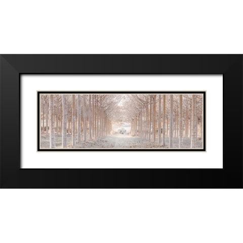 Winter forest Black Modern Wood Framed Art Print with Double Matting by Frank, Assaf