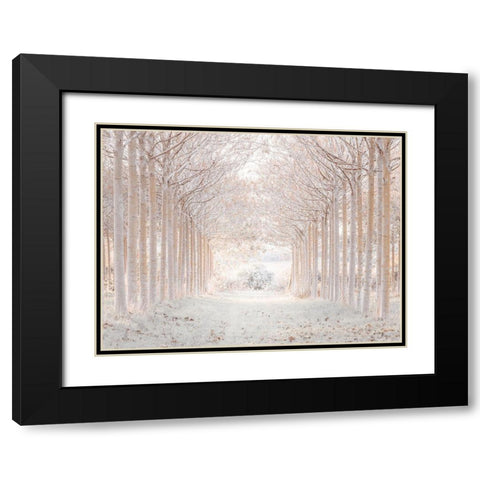 Winter forest Black Modern Wood Framed Art Print with Double Matting by Frank, Assaf