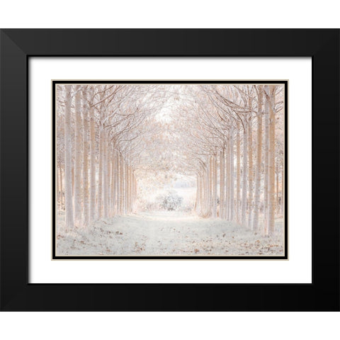 Winter forest Black Modern Wood Framed Art Print with Double Matting by Frank, Assaf