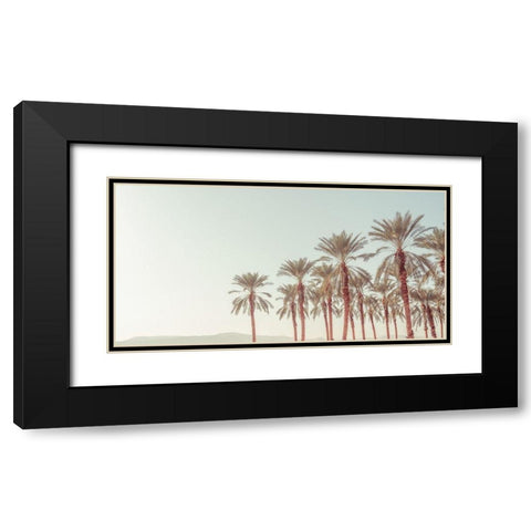 Palm Trees Black Modern Wood Framed Art Print with Double Matting by Frank, Assaf
