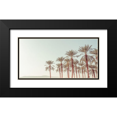 Palm Trees Black Modern Wood Framed Art Print with Double Matting by Frank, Assaf