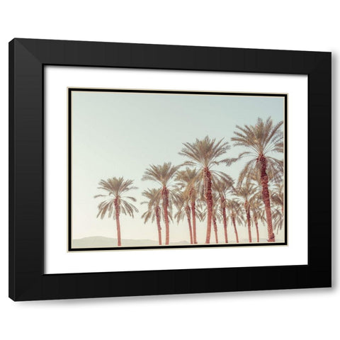 Palm Trees Black Modern Wood Framed Art Print with Double Matting by Frank, Assaf