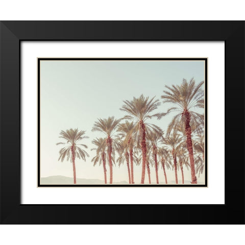 Palm Trees Black Modern Wood Framed Art Print with Double Matting by Frank, Assaf