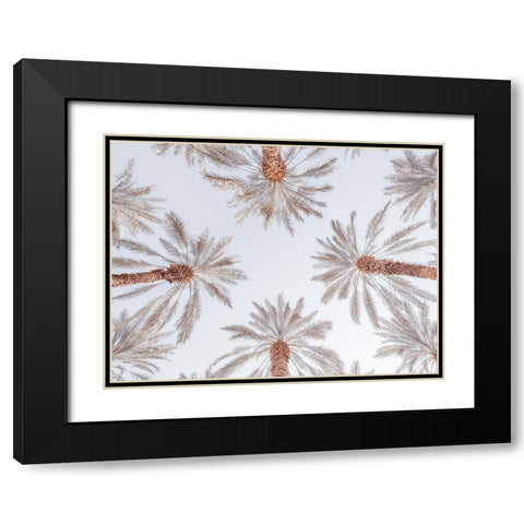 Palm Trees Black Modern Wood Framed Art Print with Double Matting by Frank, Assaf