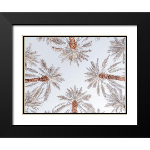 Palm Trees Black Modern Wood Framed Art Print with Double Matting by Frank, Assaf