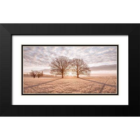 Trees in meadow Black Modern Wood Framed Art Print with Double Matting by Frank, Assaf