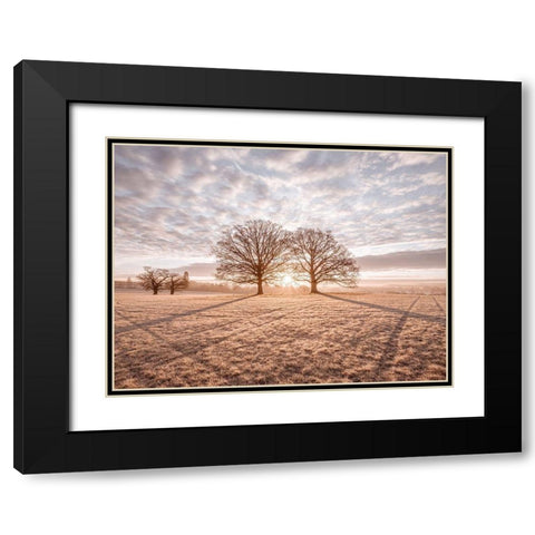 Trees in meadow Black Modern Wood Framed Art Print with Double Matting by Frank, Assaf