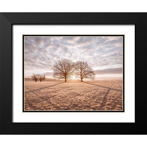 Trees in meadow Black Modern Wood Framed Art Print with Double Matting by Frank, Assaf