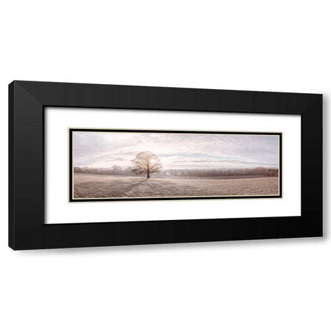 Trees in meadow Black Modern Wood Framed Art Print with Double Matting by Frank, Assaf