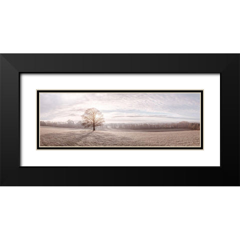Trees in meadow Black Modern Wood Framed Art Print with Double Matting by Frank, Assaf
