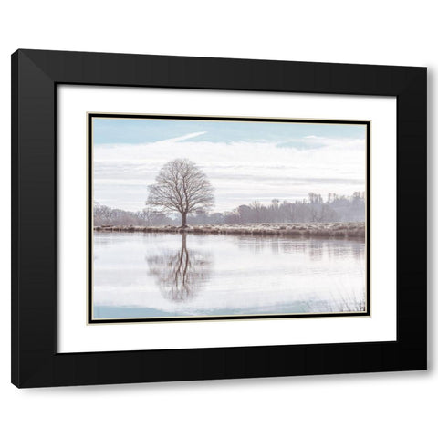 Reflection of a tree Black Modern Wood Framed Art Print with Double Matting by Frank, Assaf