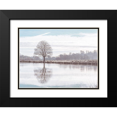 Reflection of a tree Black Modern Wood Framed Art Print with Double Matting by Frank, Assaf