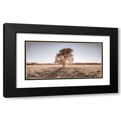 Sun shining through a tree Black Modern Wood Framed Art Print with Double Matting by Frank, Assaf