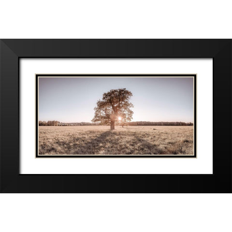 Sun shining through a tree Black Modern Wood Framed Art Print with Double Matting by Frank, Assaf