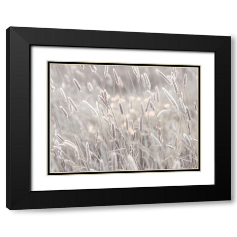 Summer meadow Black Modern Wood Framed Art Print with Double Matting by Frank, Assaf