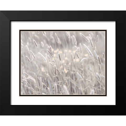 Summer meadow Black Modern Wood Framed Art Print with Double Matting by Frank, Assaf