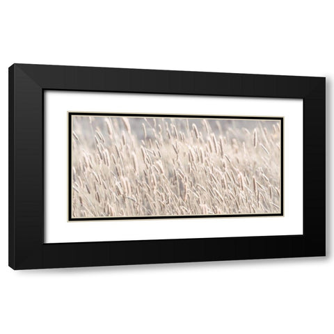 Grass in meadow Black Modern Wood Framed Art Print with Double Matting by Frank, Assaf