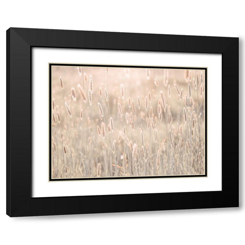 Summer meadow Black Modern Wood Framed Art Print with Double Matting by Frank, Assaf