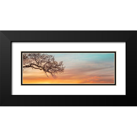 Branches at sunset Black Modern Wood Framed Art Print with Double Matting by Frank, Assaf