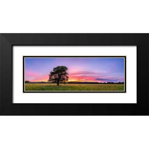 Tree at sunset Black Modern Wood Framed Art Print with Double Matting by Frank, Assaf
