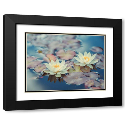 Lotus in pond Black Modern Wood Framed Art Print with Double Matting by Frank, Assaf