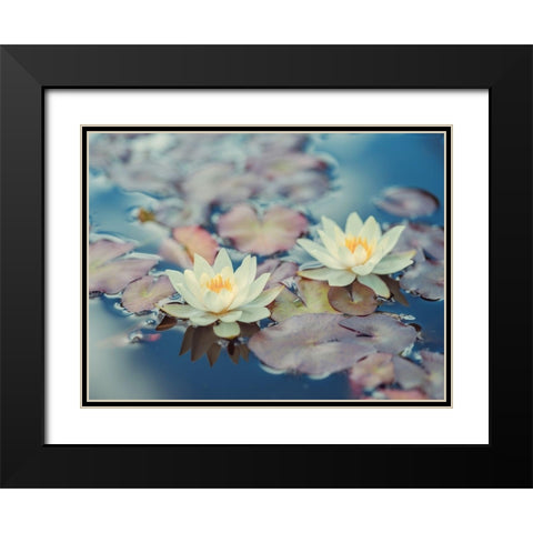 Lotus in pond Black Modern Wood Framed Art Print with Double Matting by Frank, Assaf